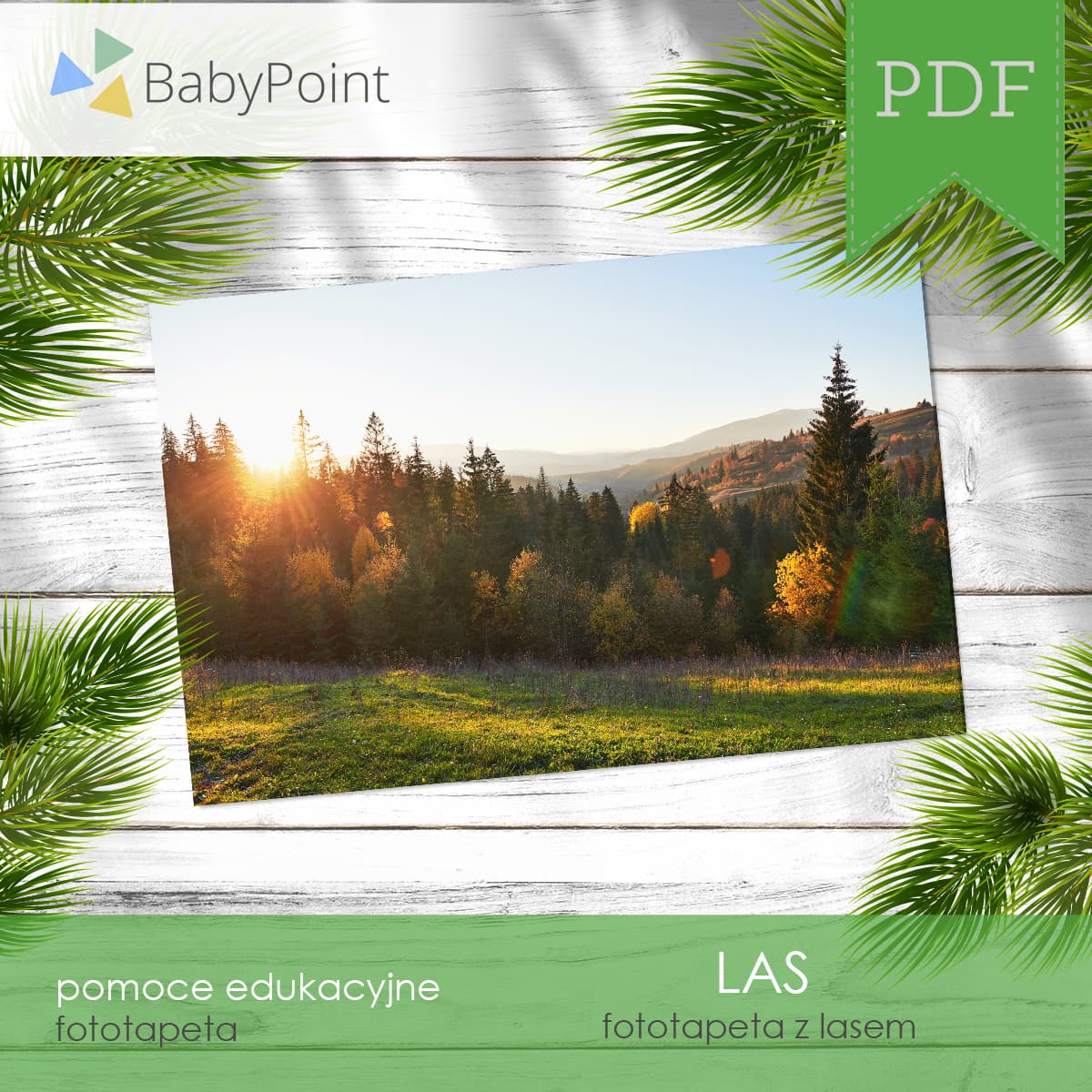 Fototapeta z lasem