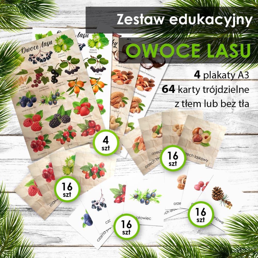Owoce lasu