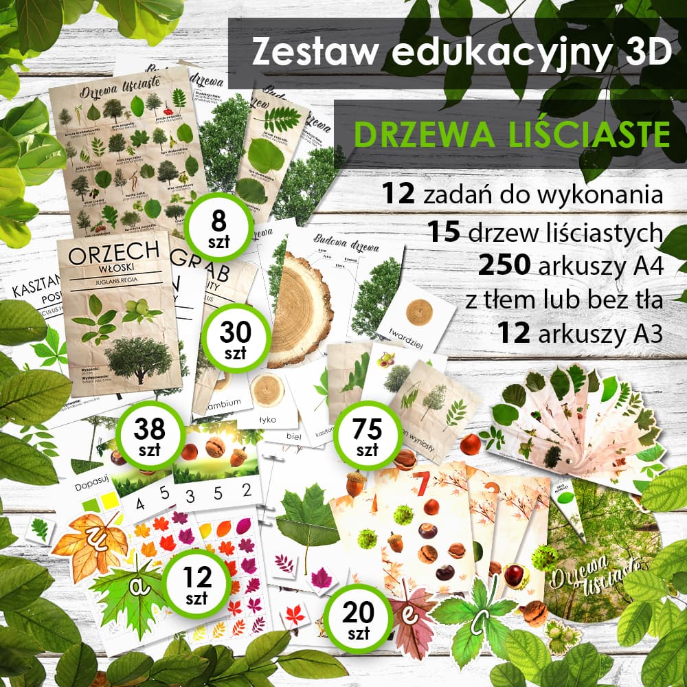 Drzewa liściaste