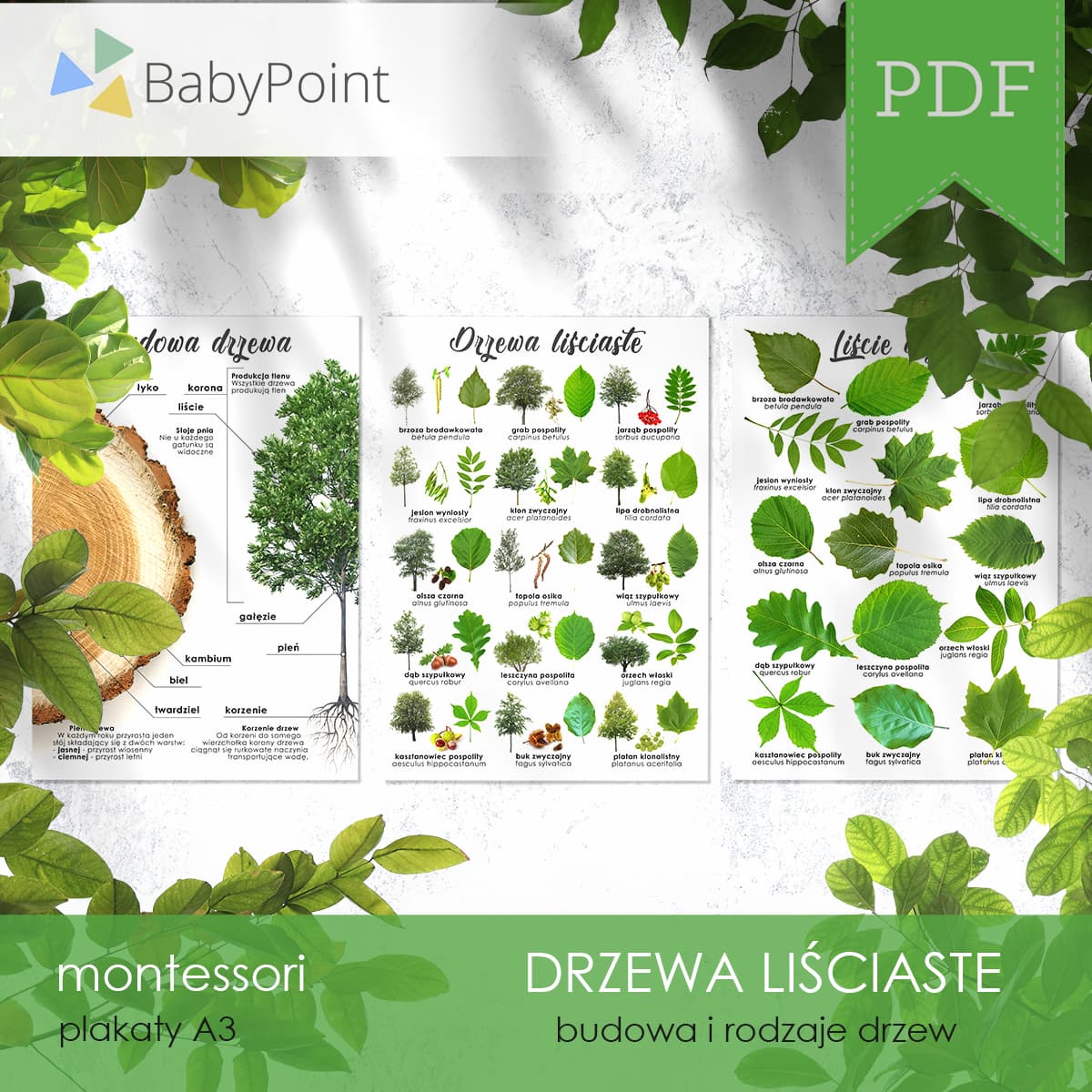 Drzewa liściaste