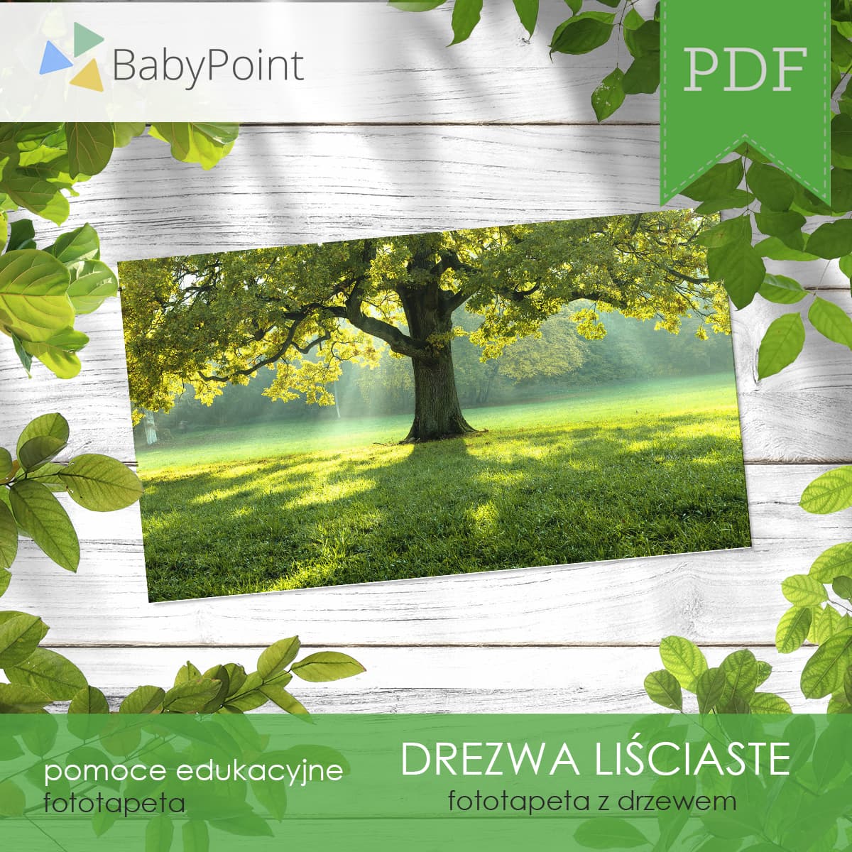 Fototapeta z drzewem liściastym