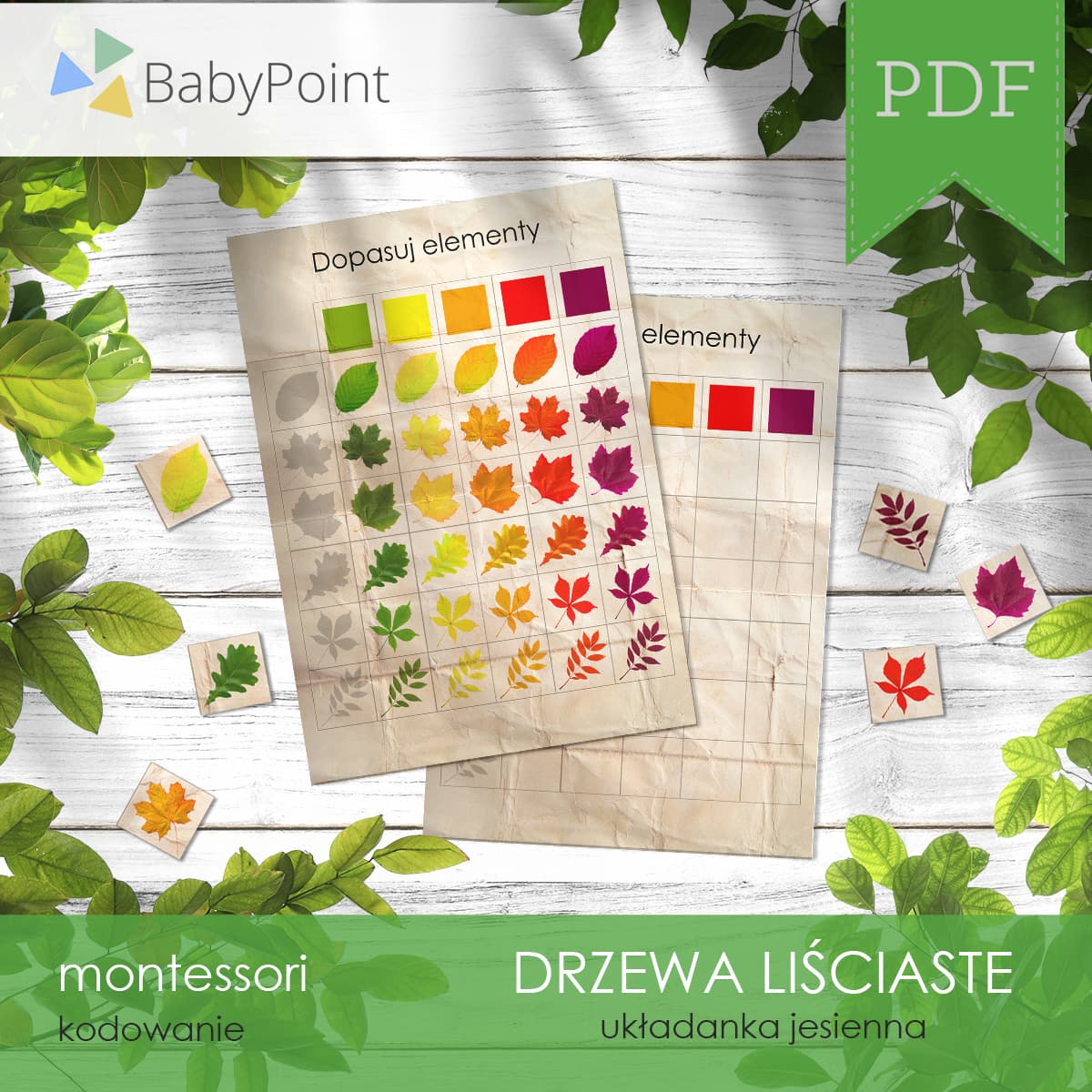 Drzewa liściaste 2