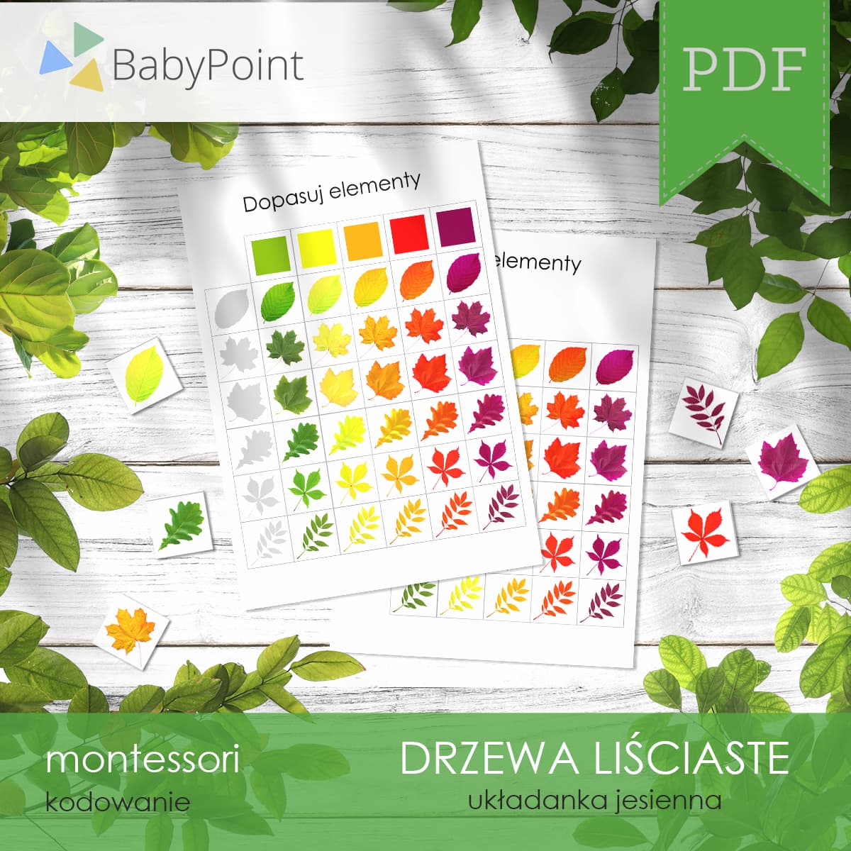 Drzewa liściaste