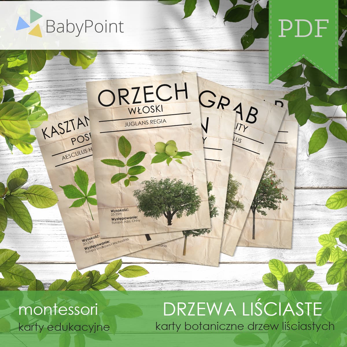 Karty botaniczne drzew liściastych 2