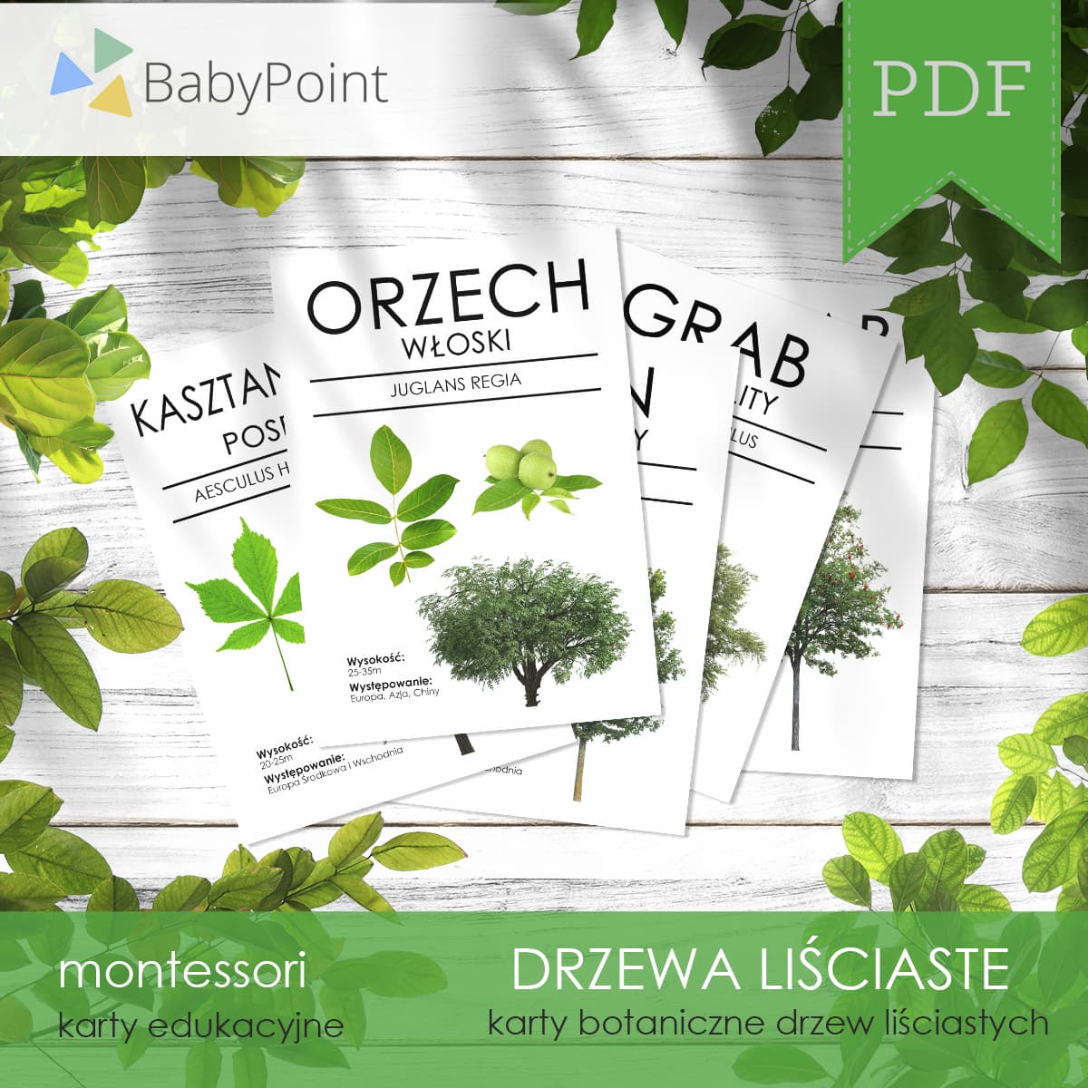 Karty botaniczne drzew liściastych
