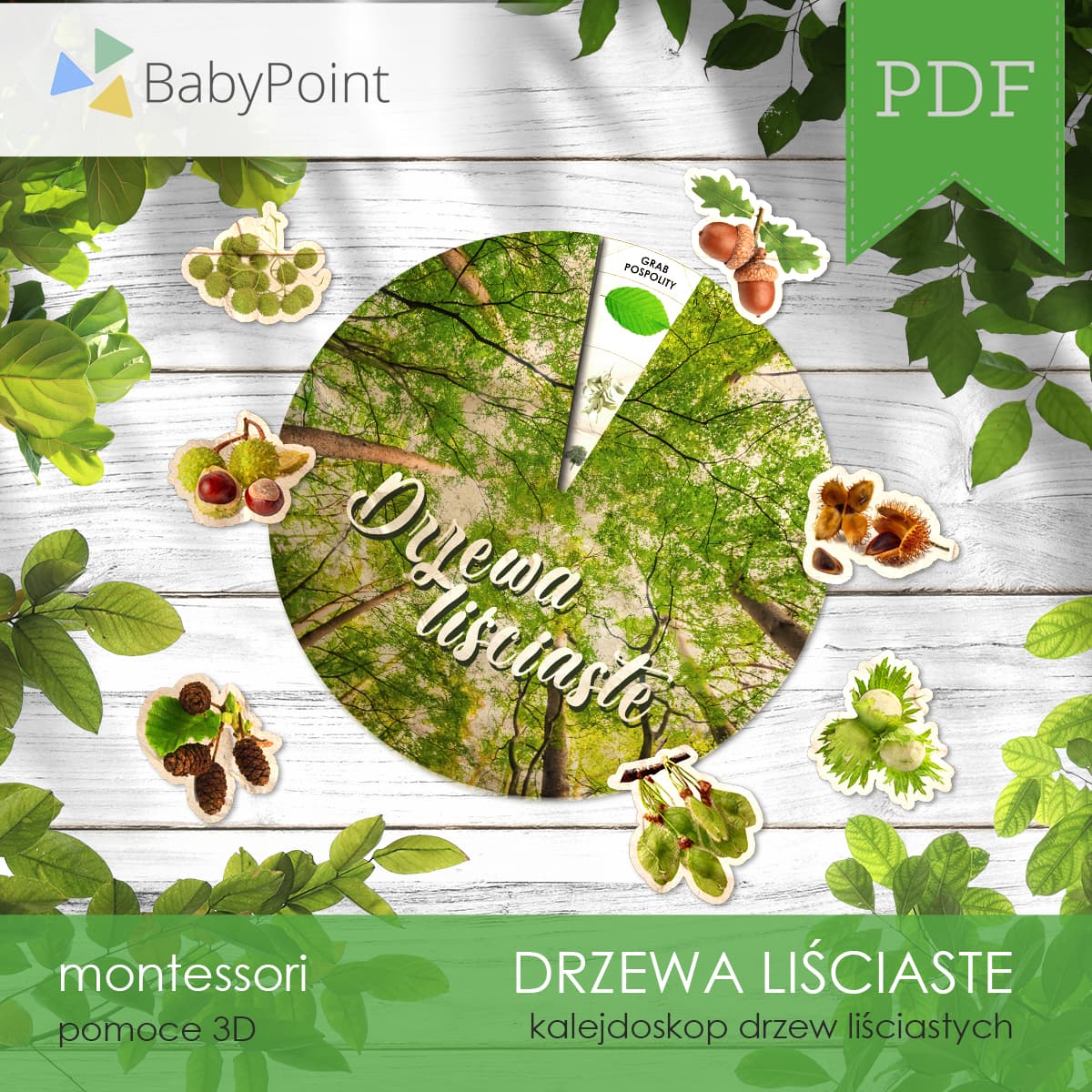 Kalejdoskop drzew liściastych