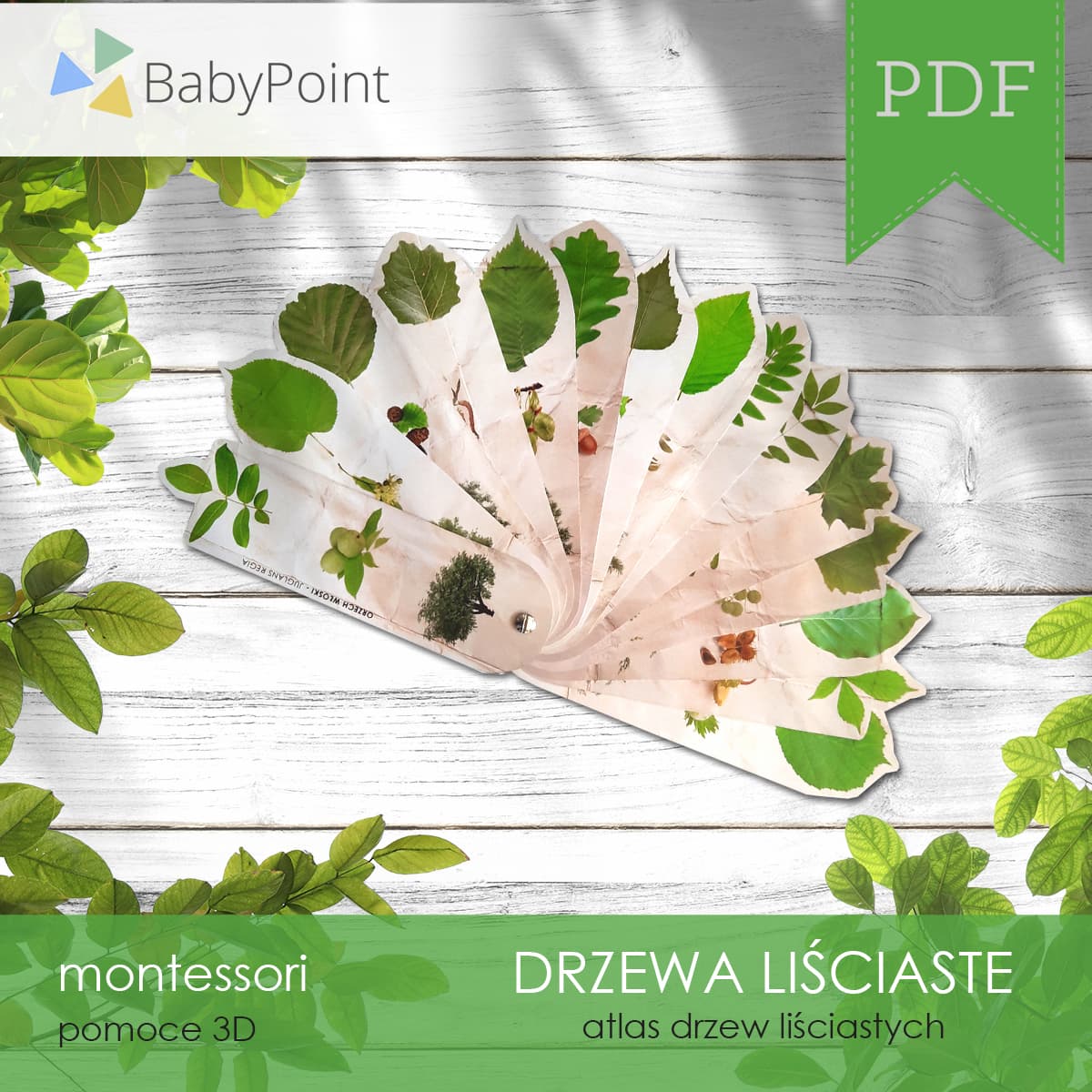 Drzewa liściaste