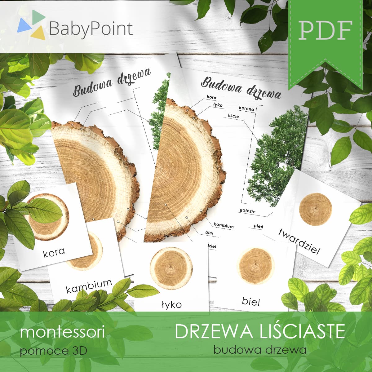 Budowa drzewa 2
