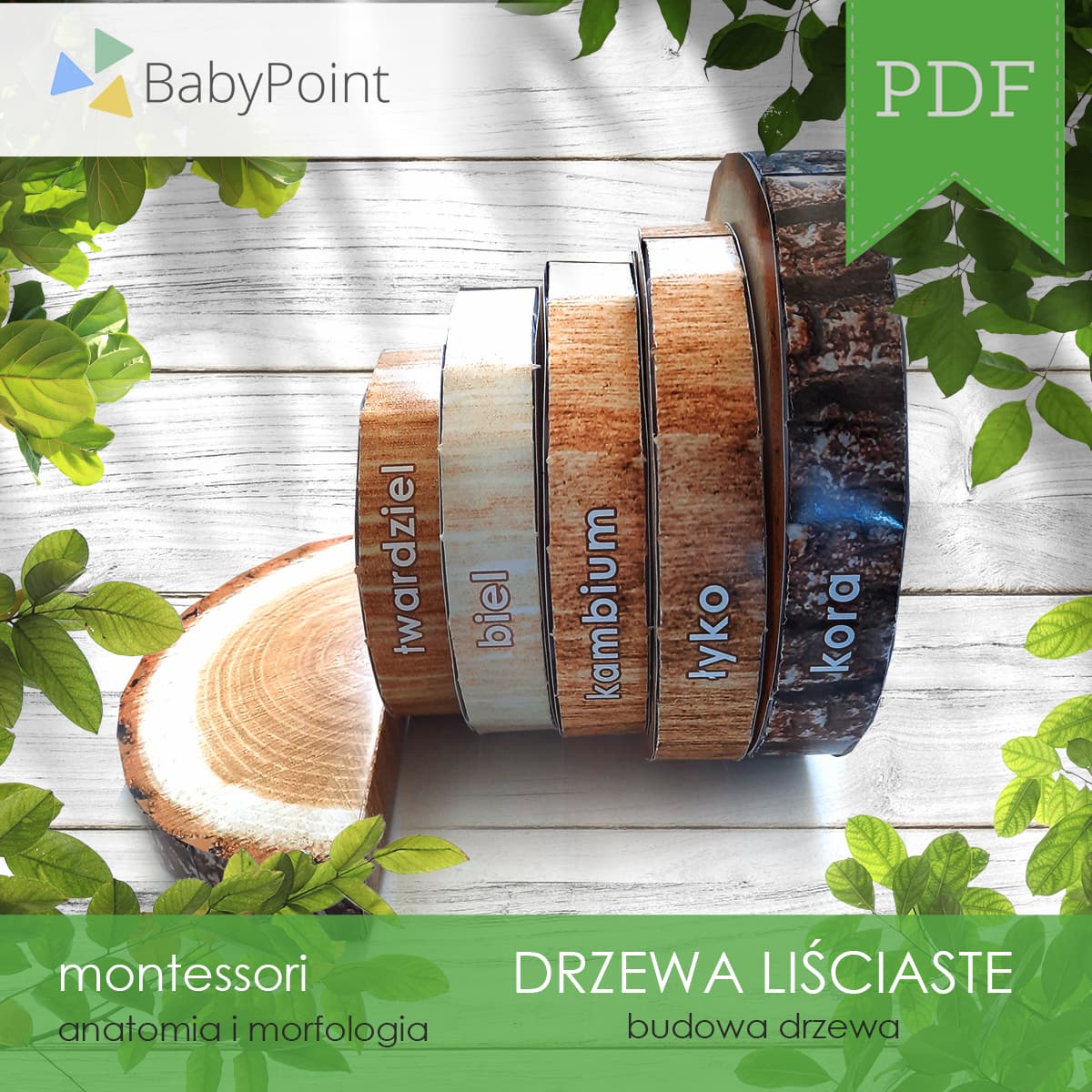 Budowa drzewa 3
