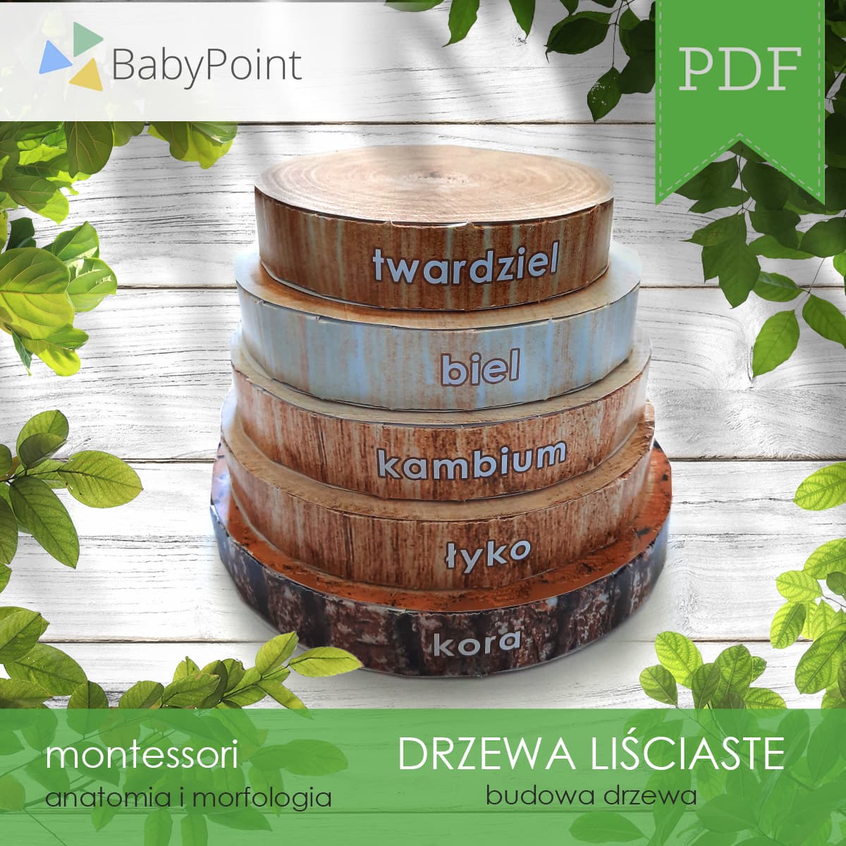 Budowa drzewa 4