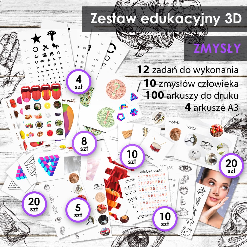 Zmysły