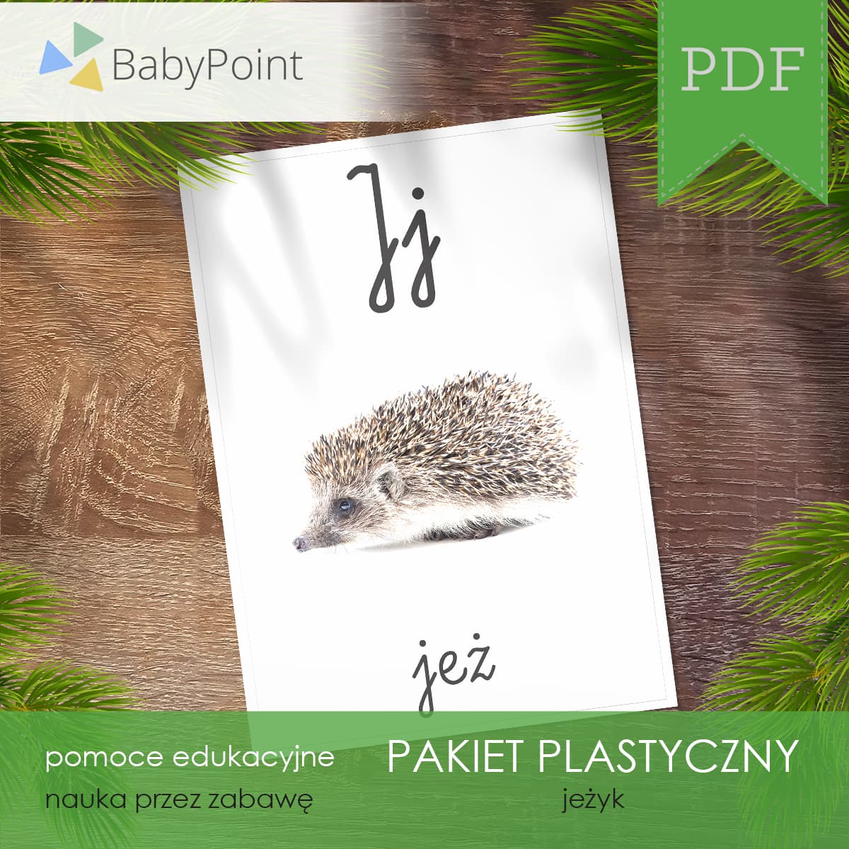 Jeżyk 6