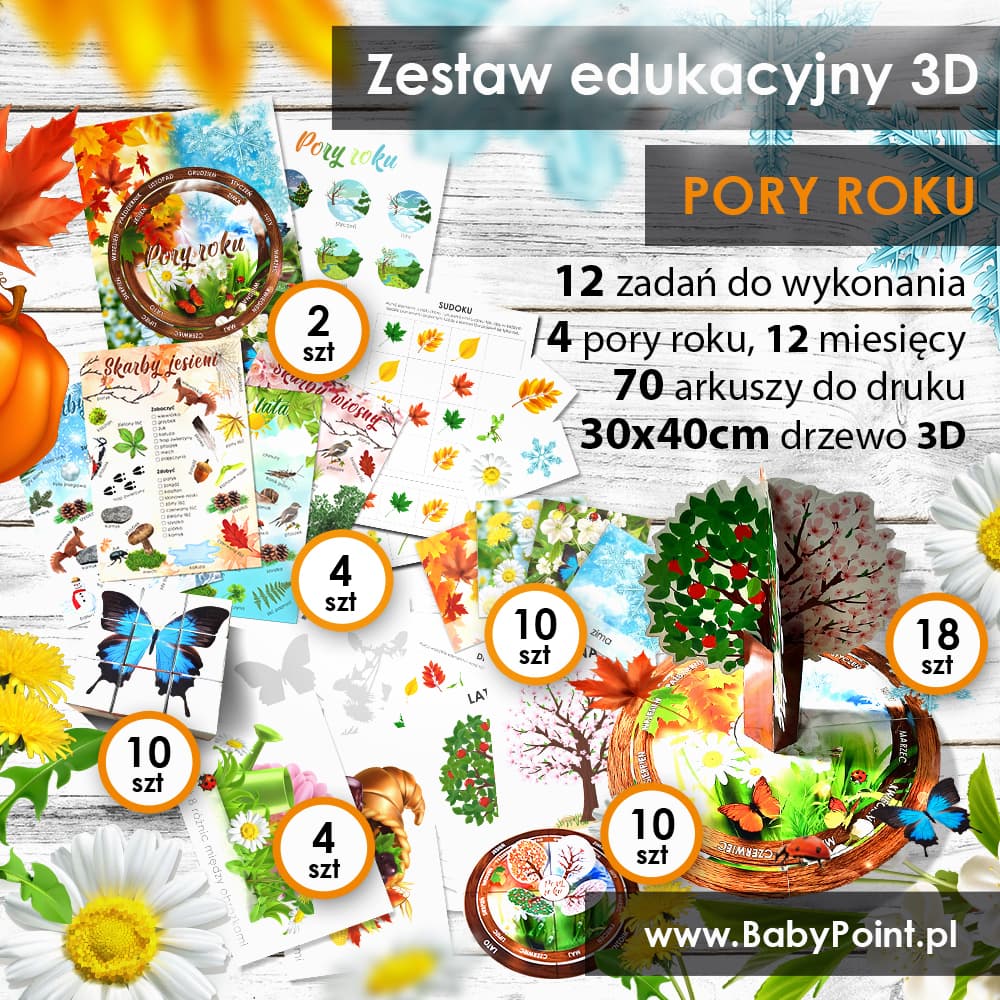 Pory roku