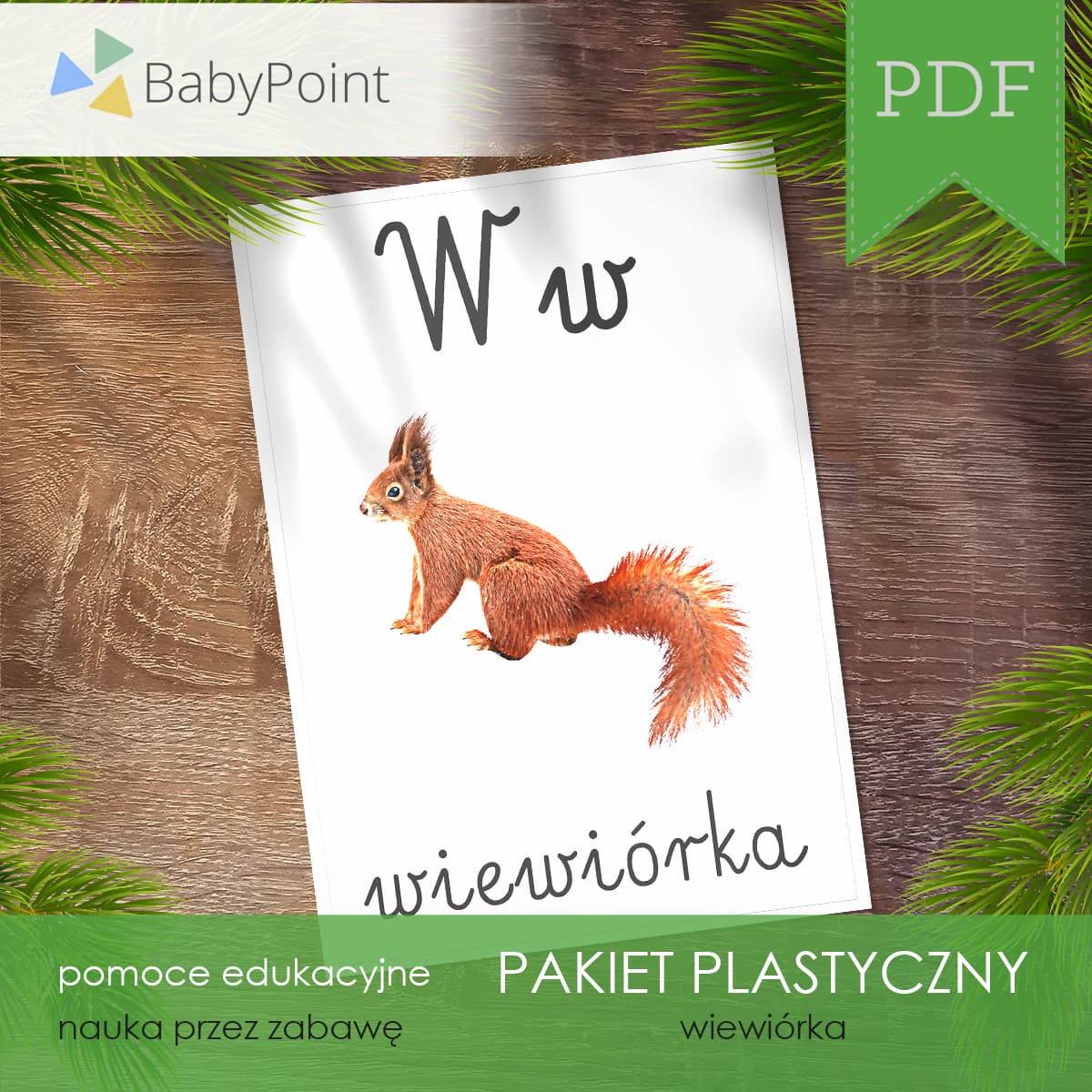 Wiewiórka 5