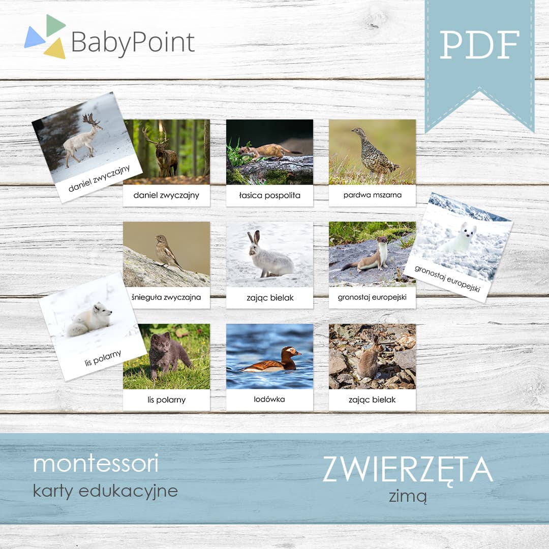 Zwierzęta zimą