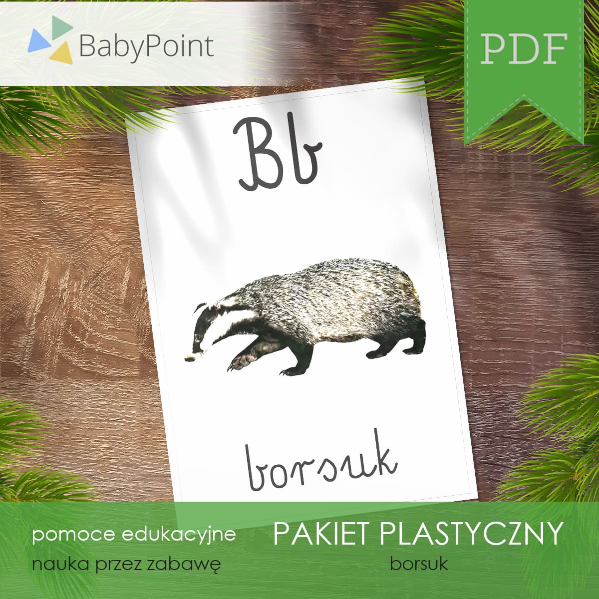Borsuk 4
