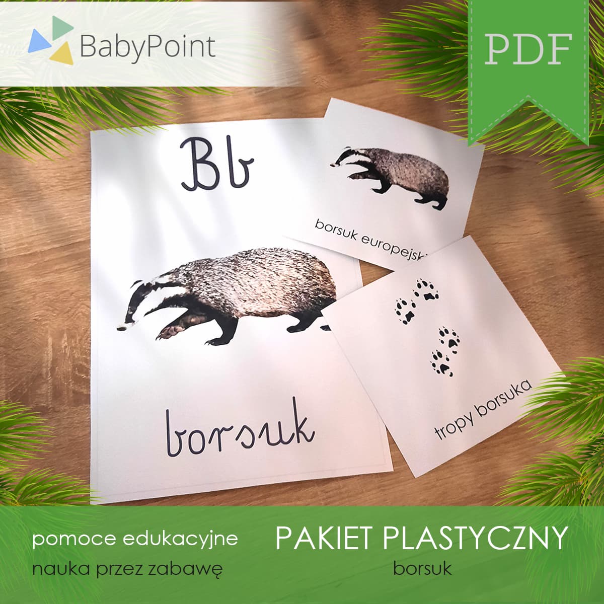 Borsuk 5