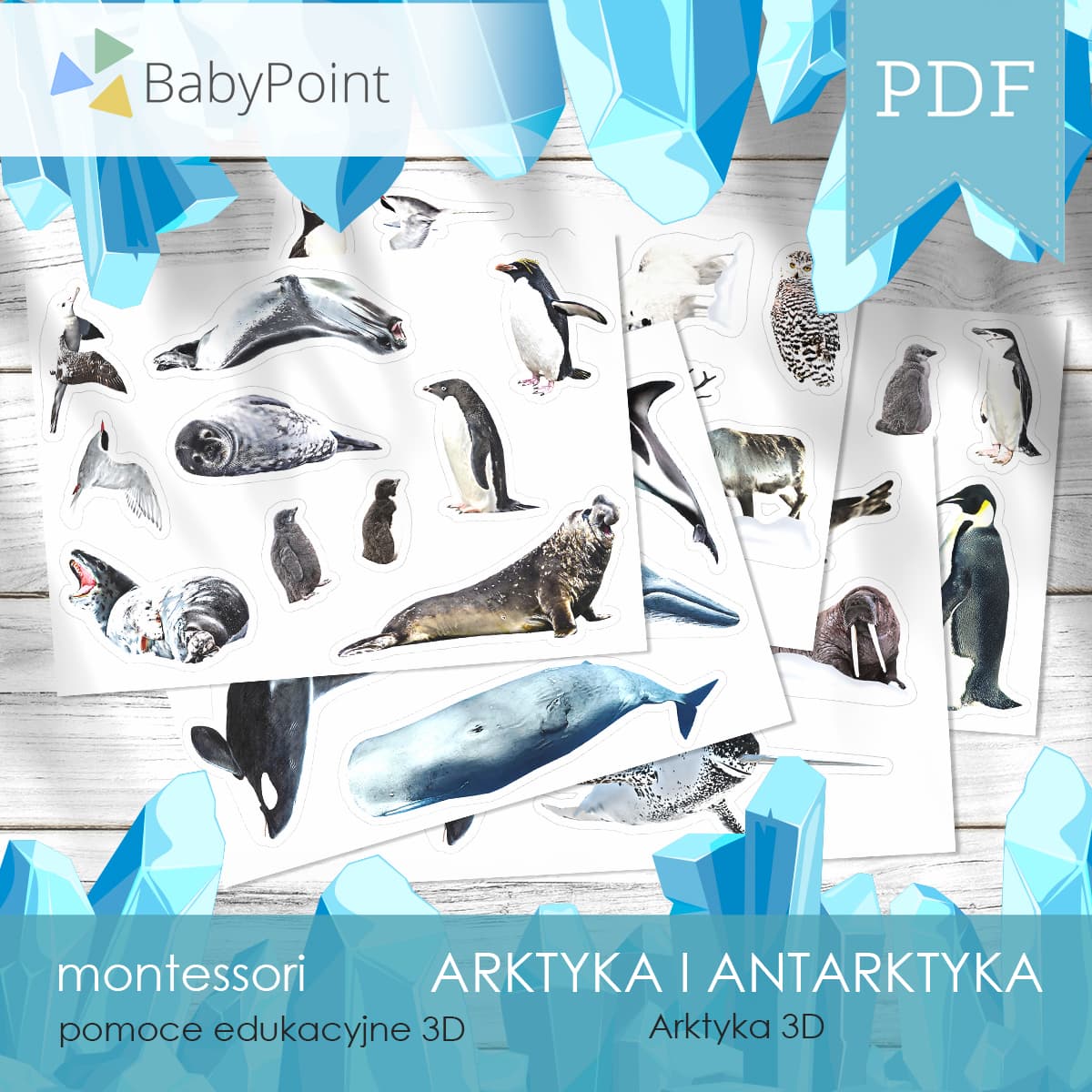 Arktyka i Antarktyka 3