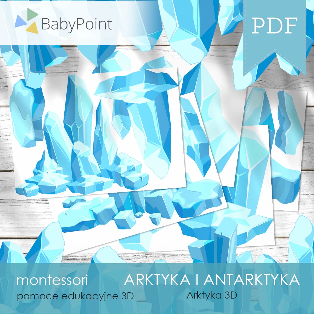 Arktyka i Antarktyka 5