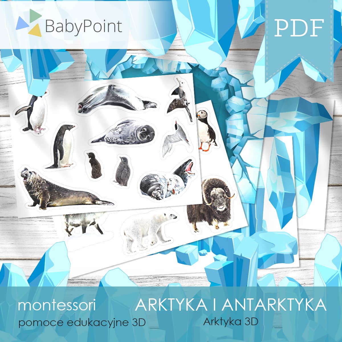 Arktyka i Antarktyka 6