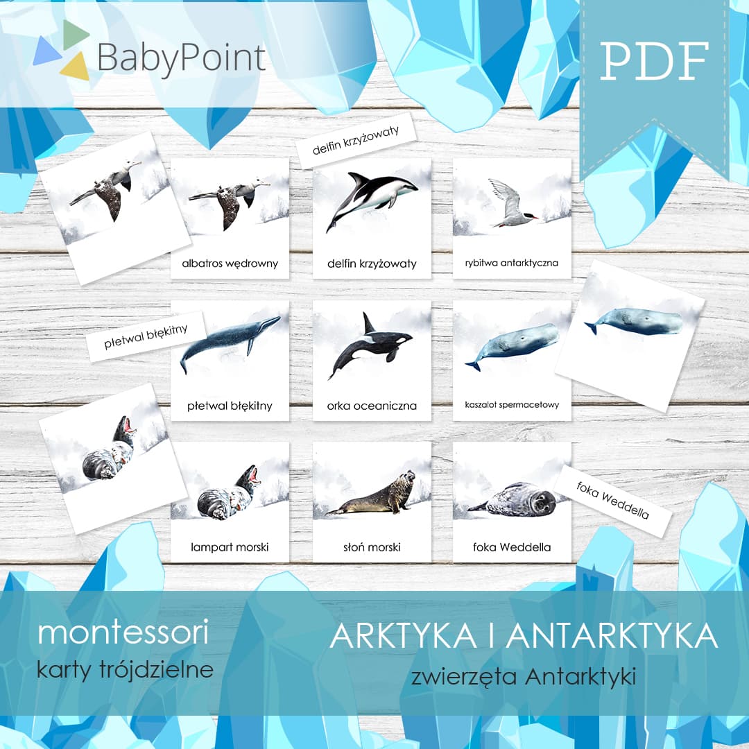 Zwierzęta Antarktyki