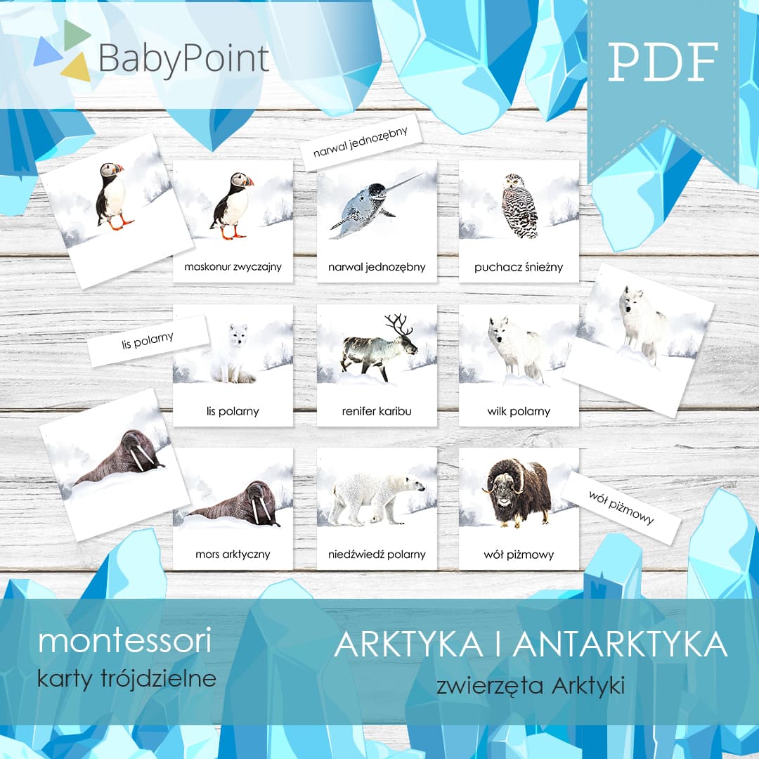 Zwierzęta Arktyki