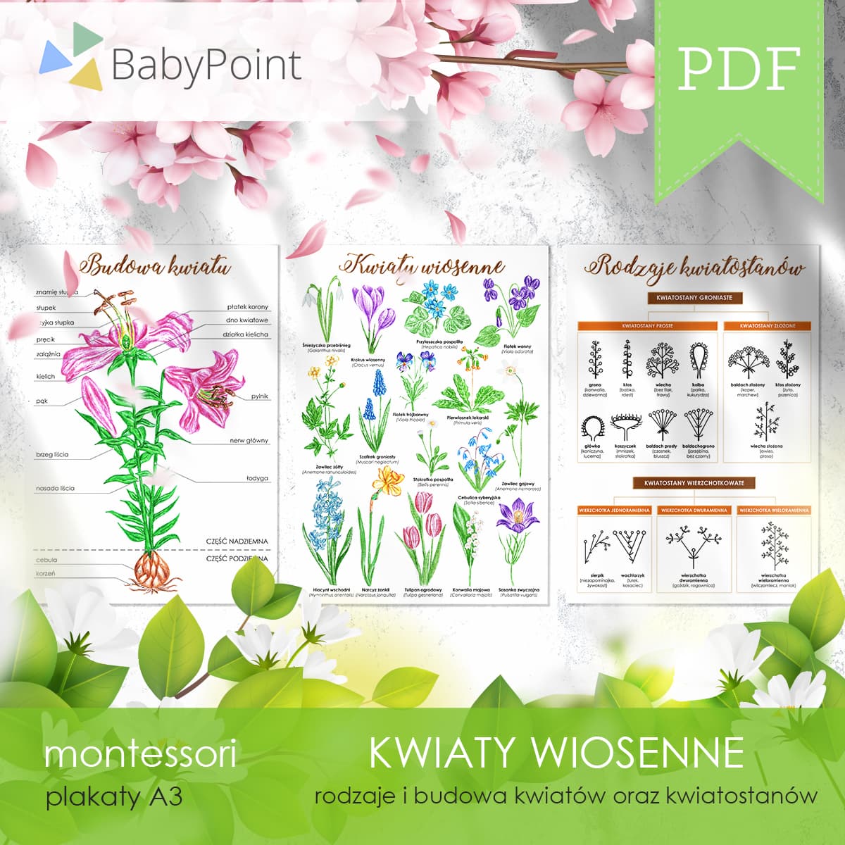 Kwiaty wiosenne 3
