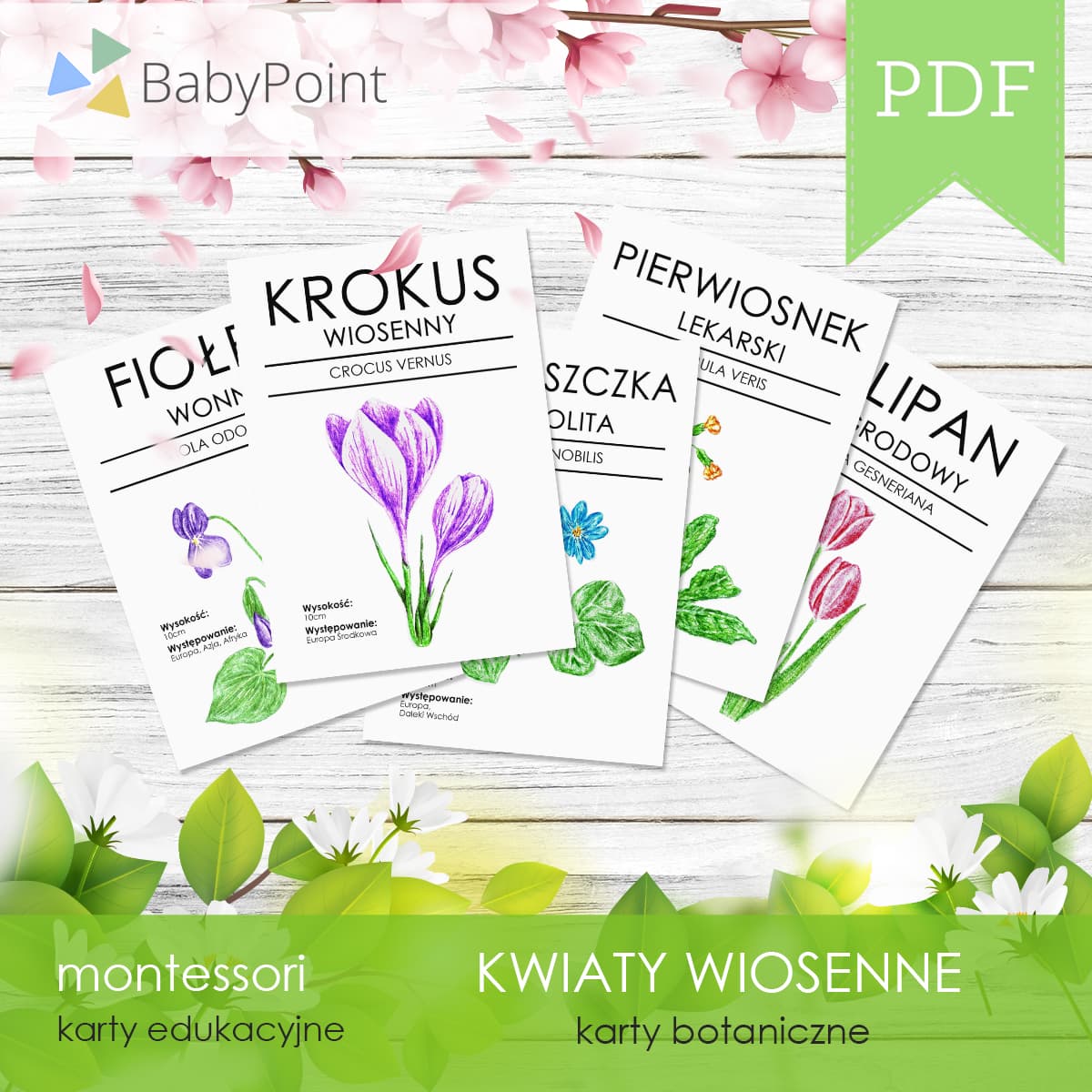 Karty botaniczne kwiatów wiosennych 2