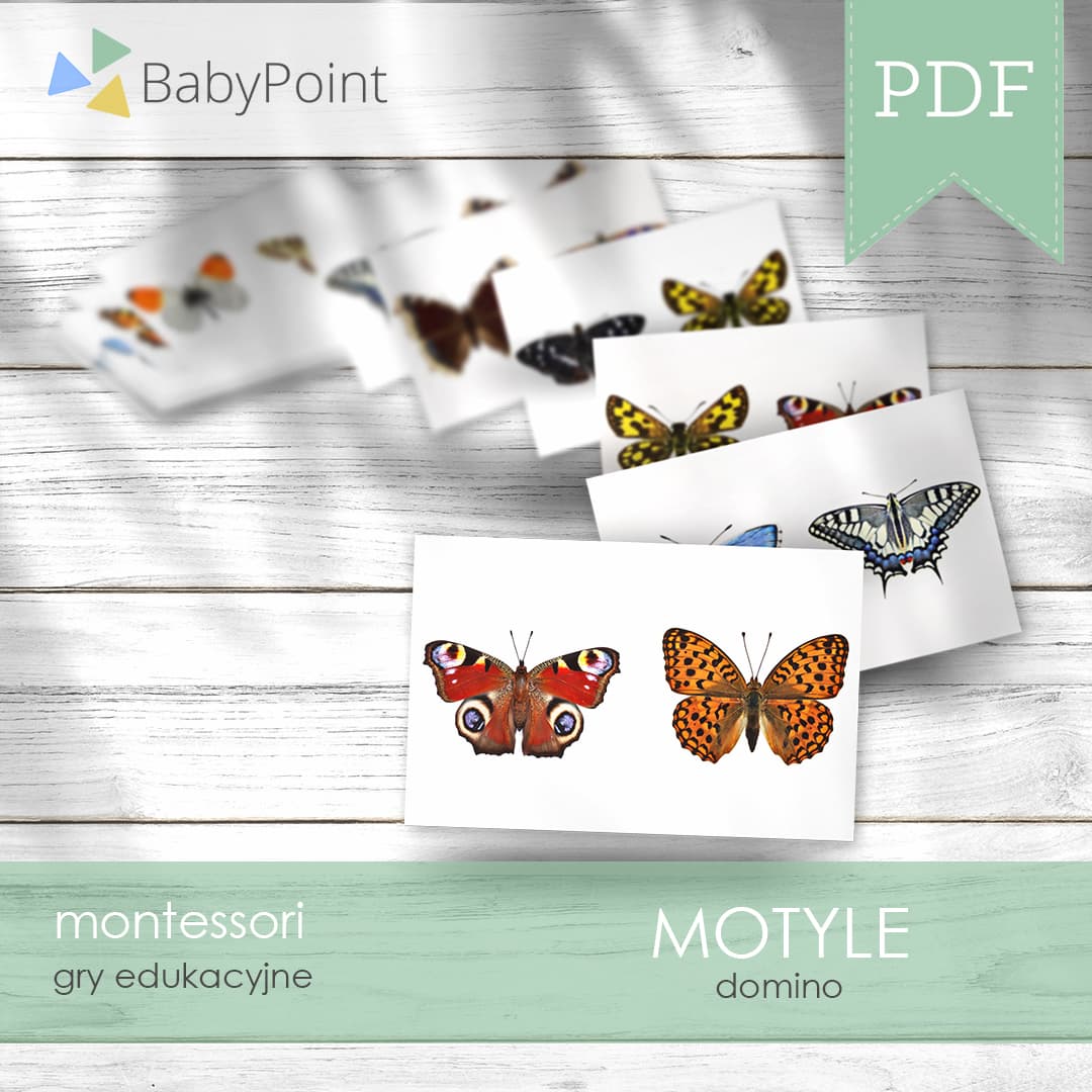 Motyle 2