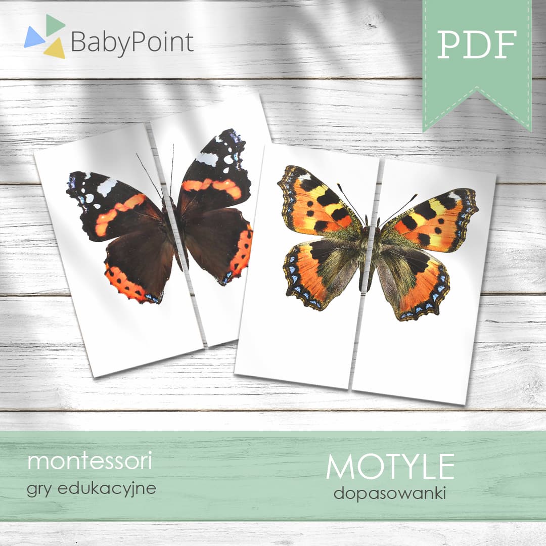 Motyle 2