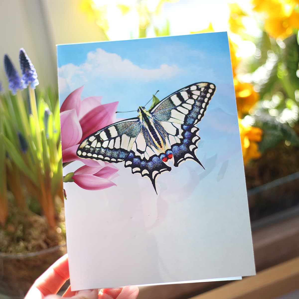 Motyl na kartce 2