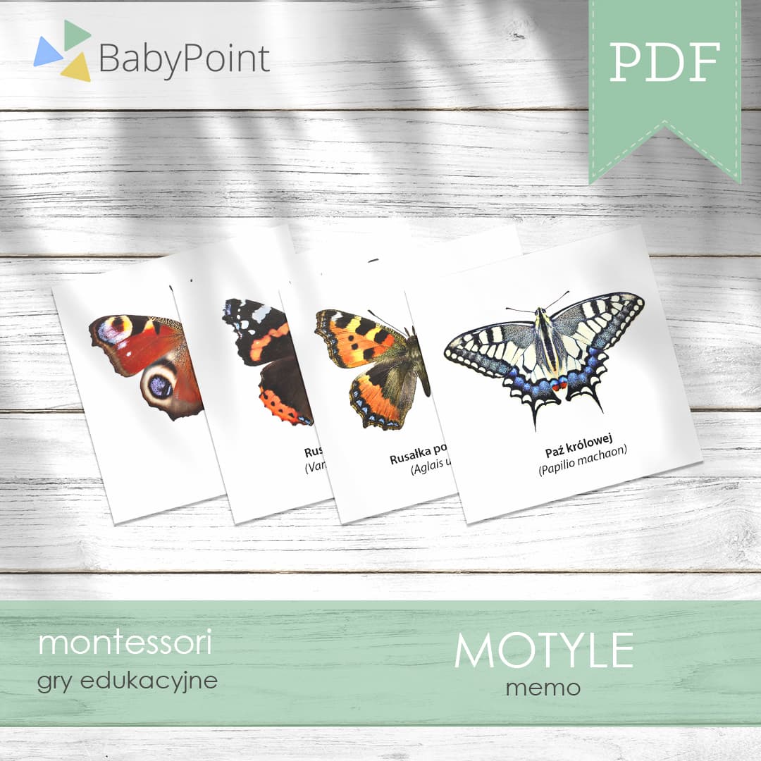 Motyle 2