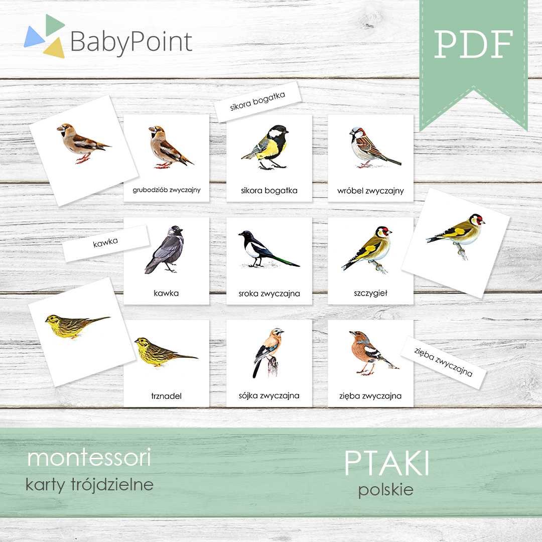 Ptaki