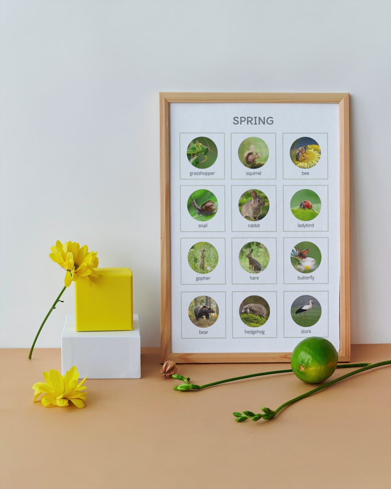 Spring