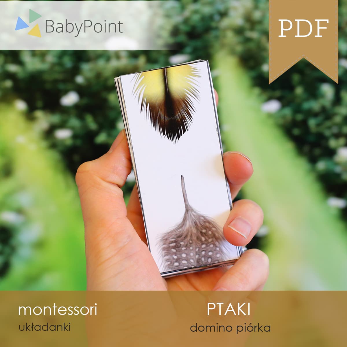 PTAKI - Domino piórka 2