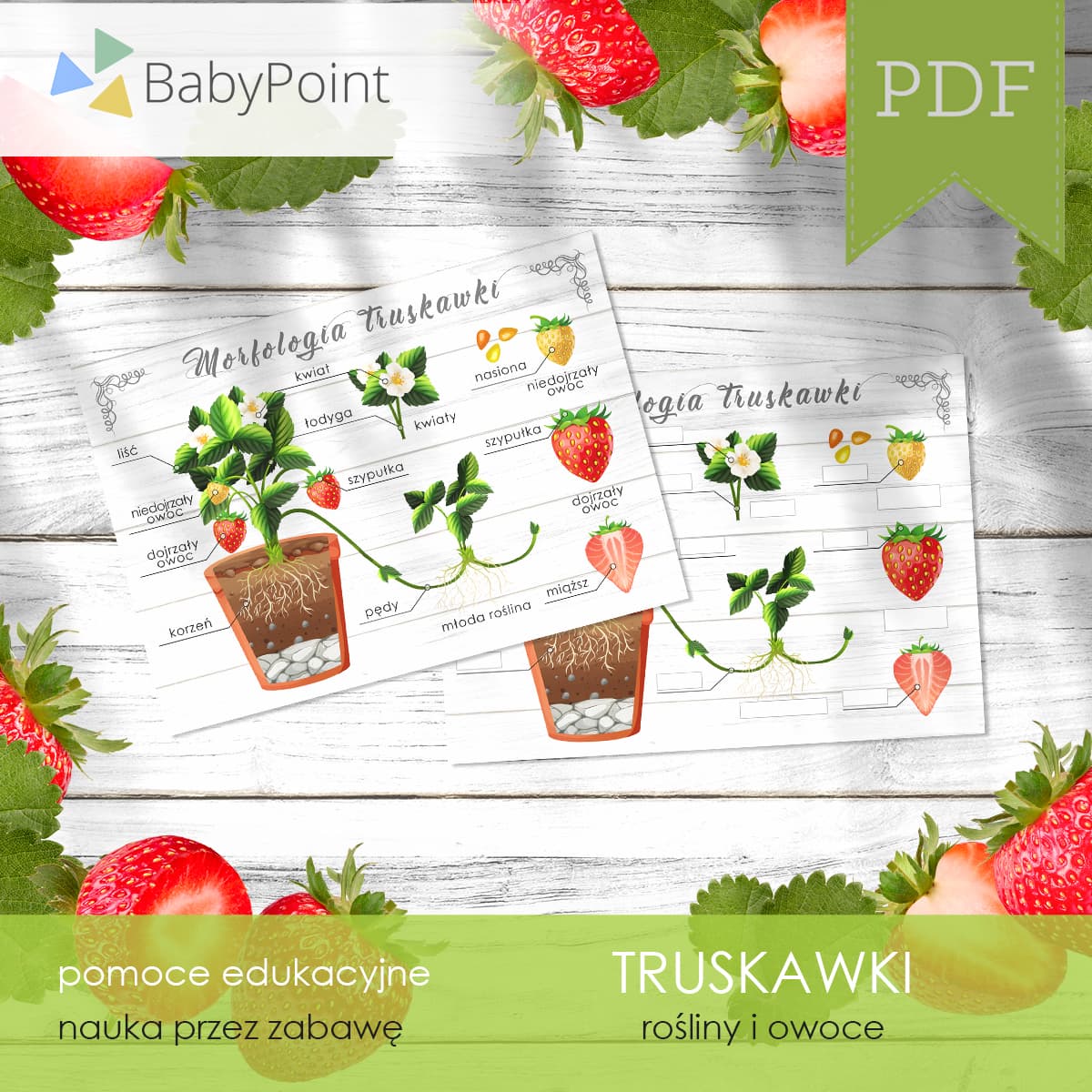 Truskawki 2