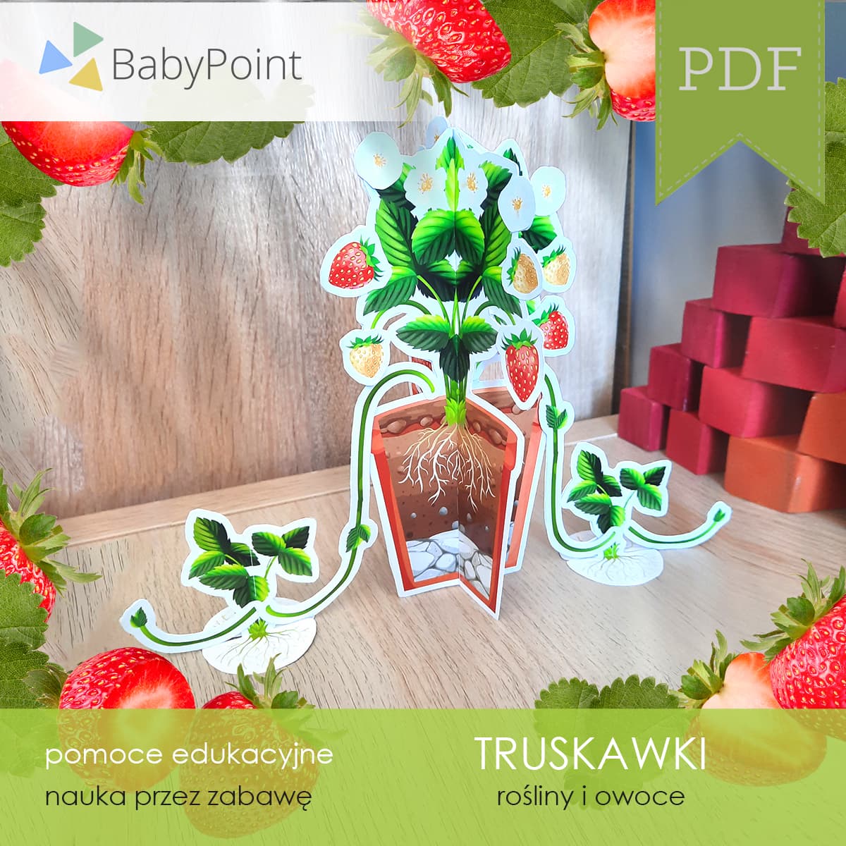 Truskawki 4