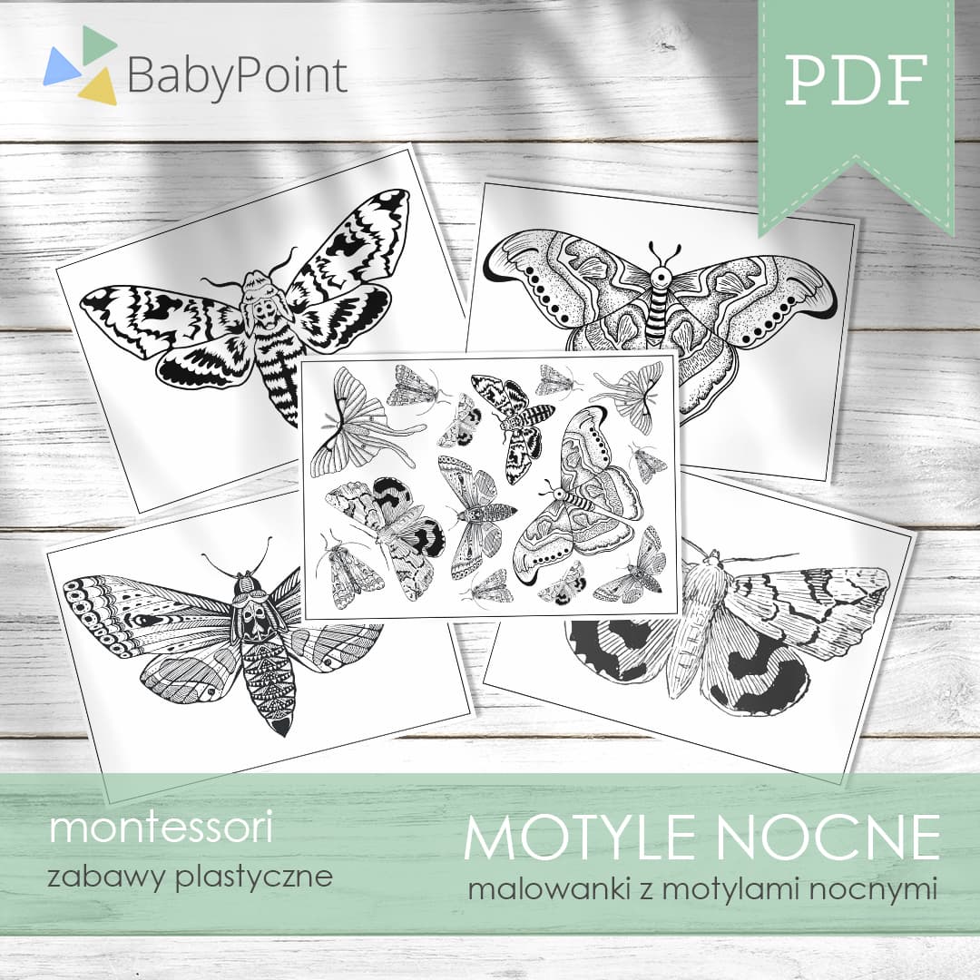 MOTYLE NOCNE - Malowanki