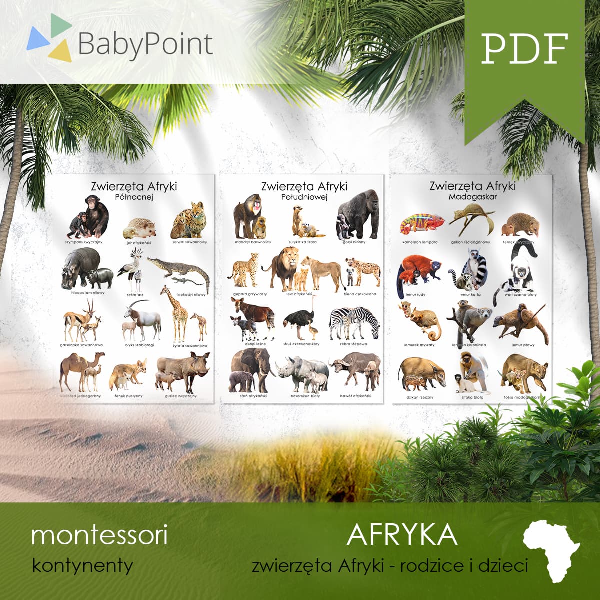 Afryka 3