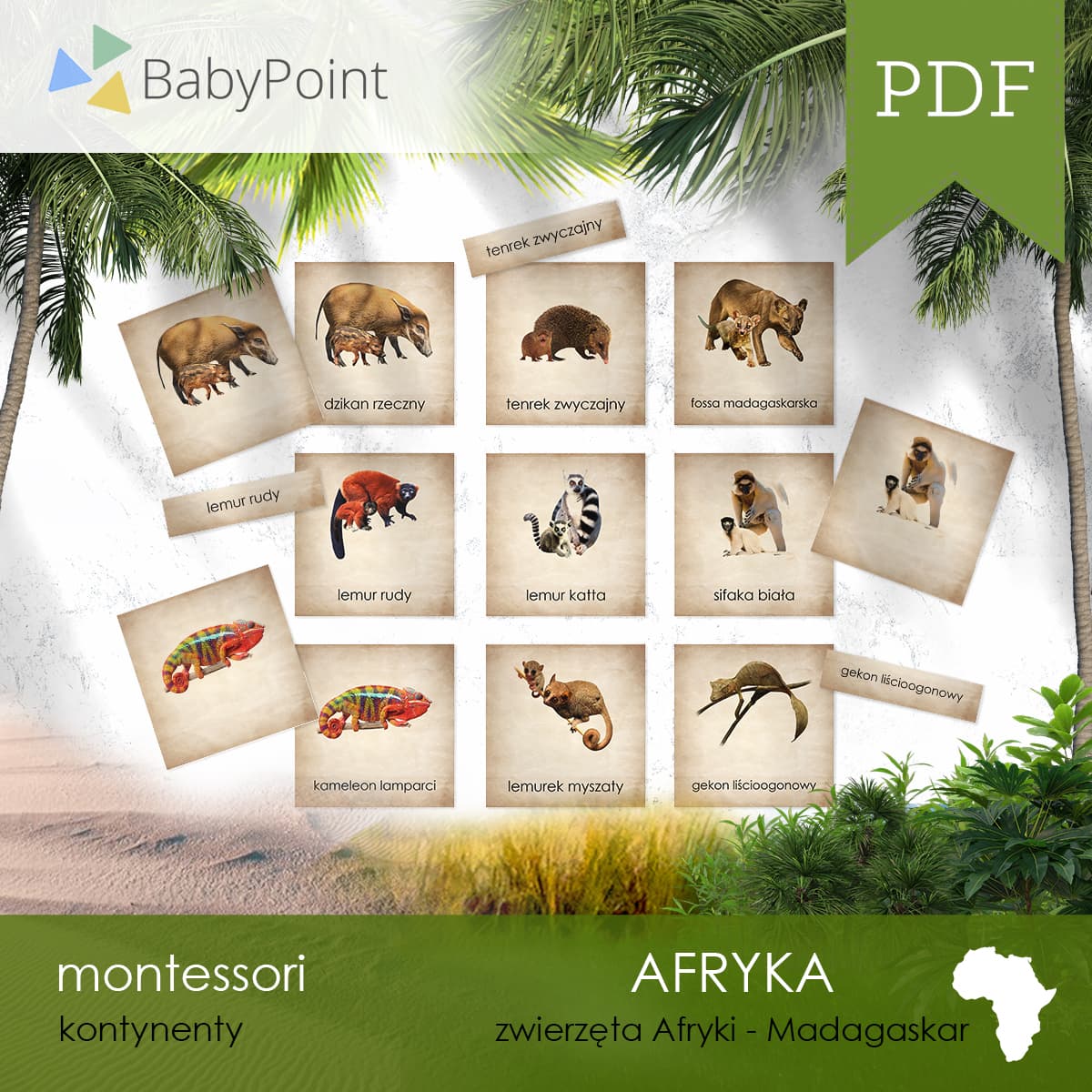 Afryka 5