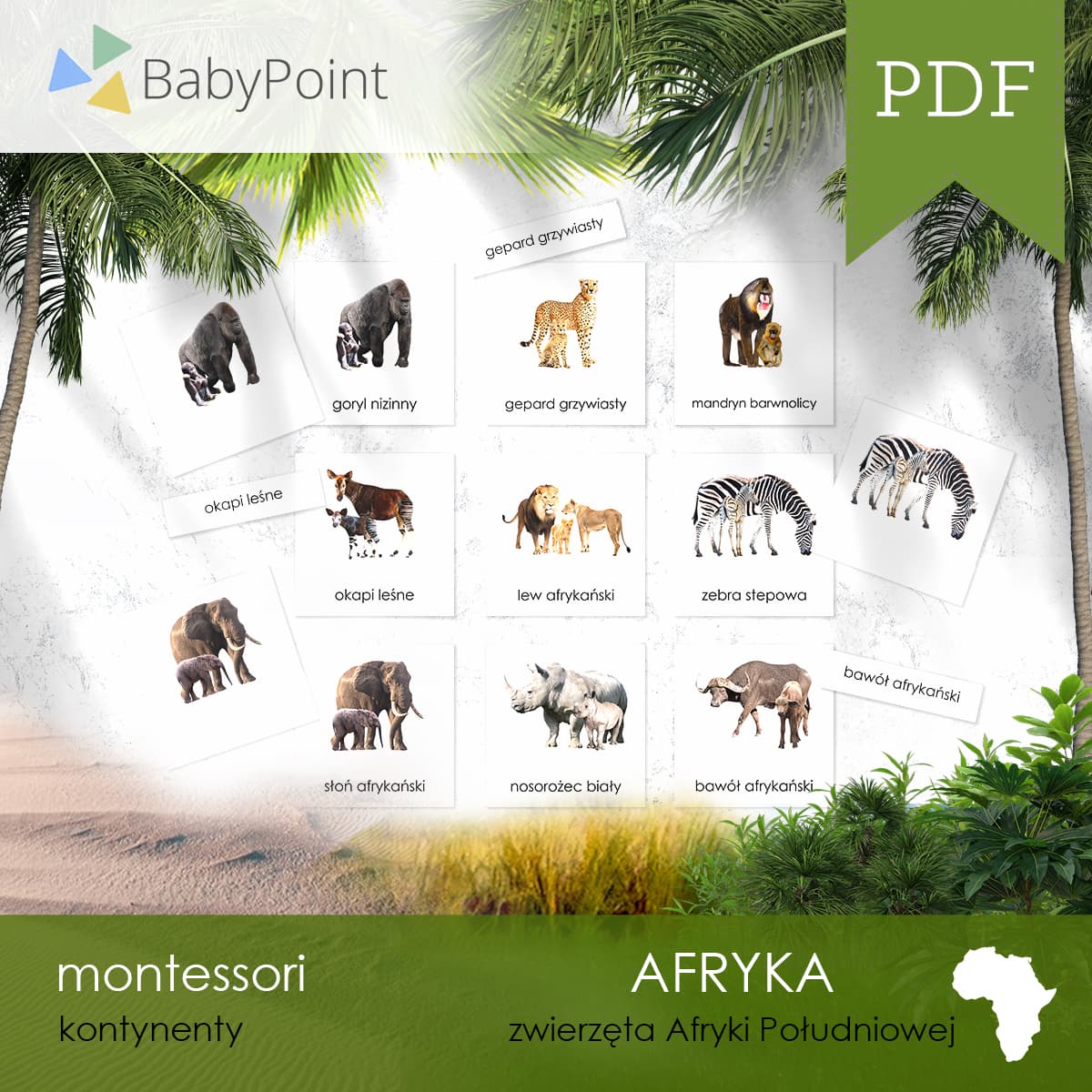 Afryka 6