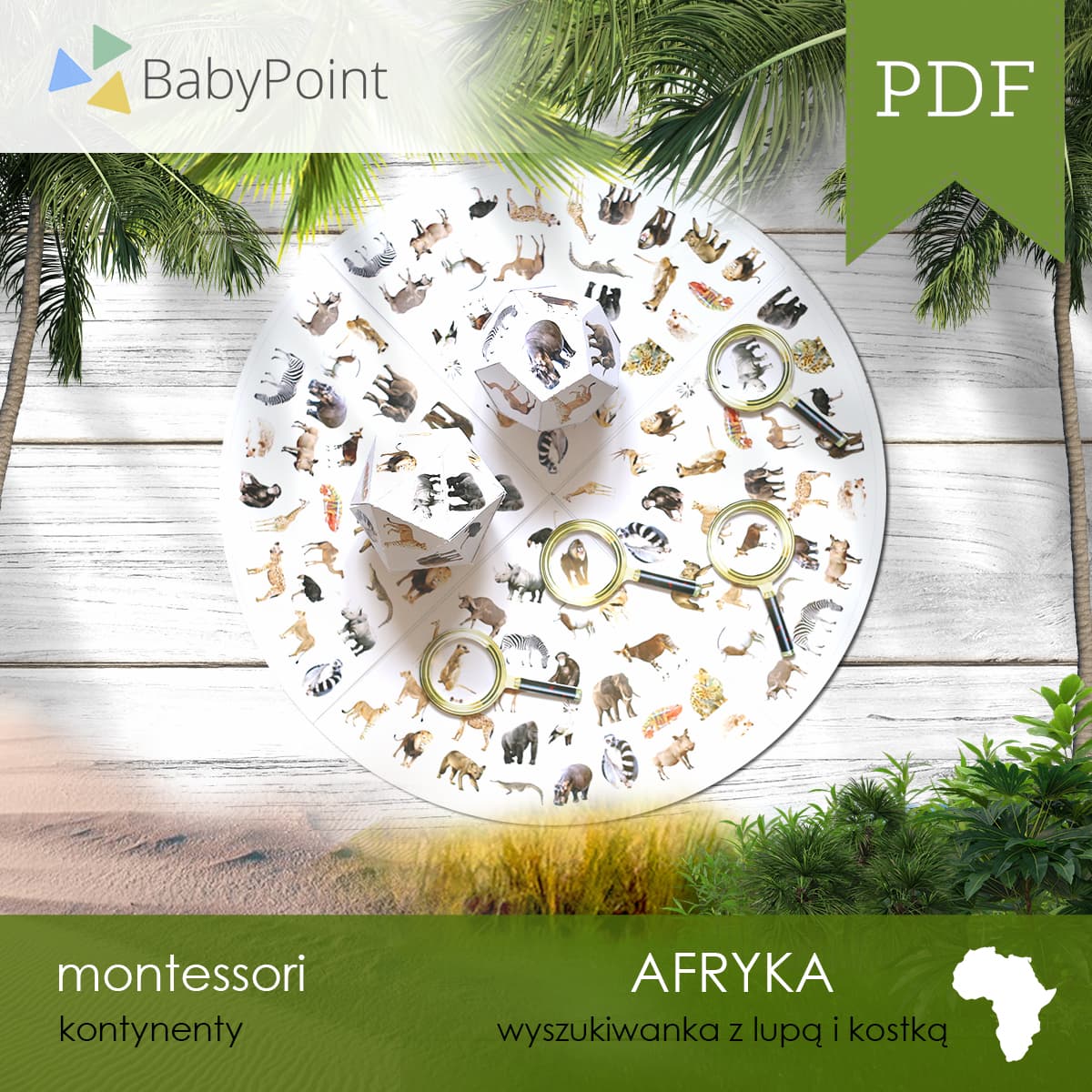 Afryka 4