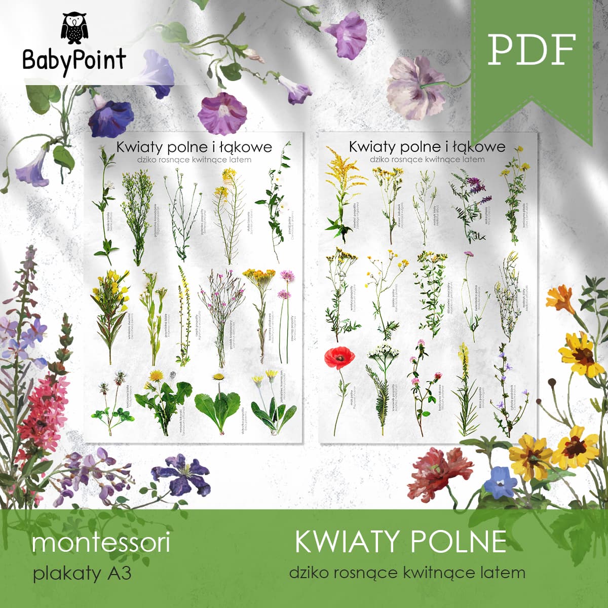 Kwiaty polne 2