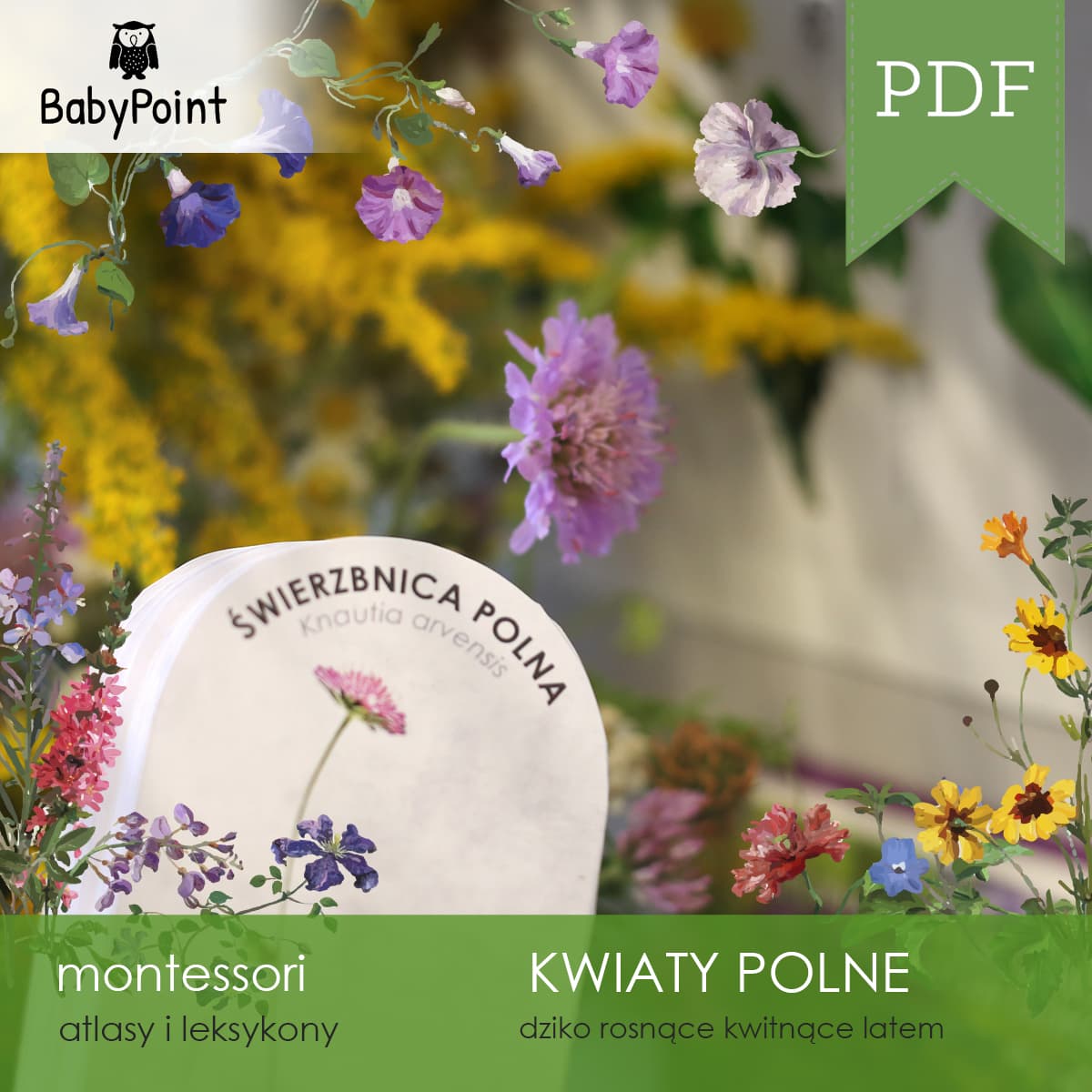 Kwiaty polne 5