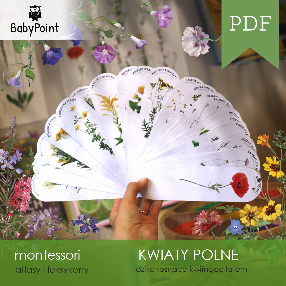 Kwiaty polne 6