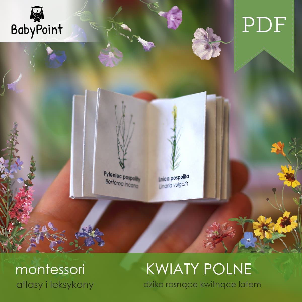 Kwiaty polne 3