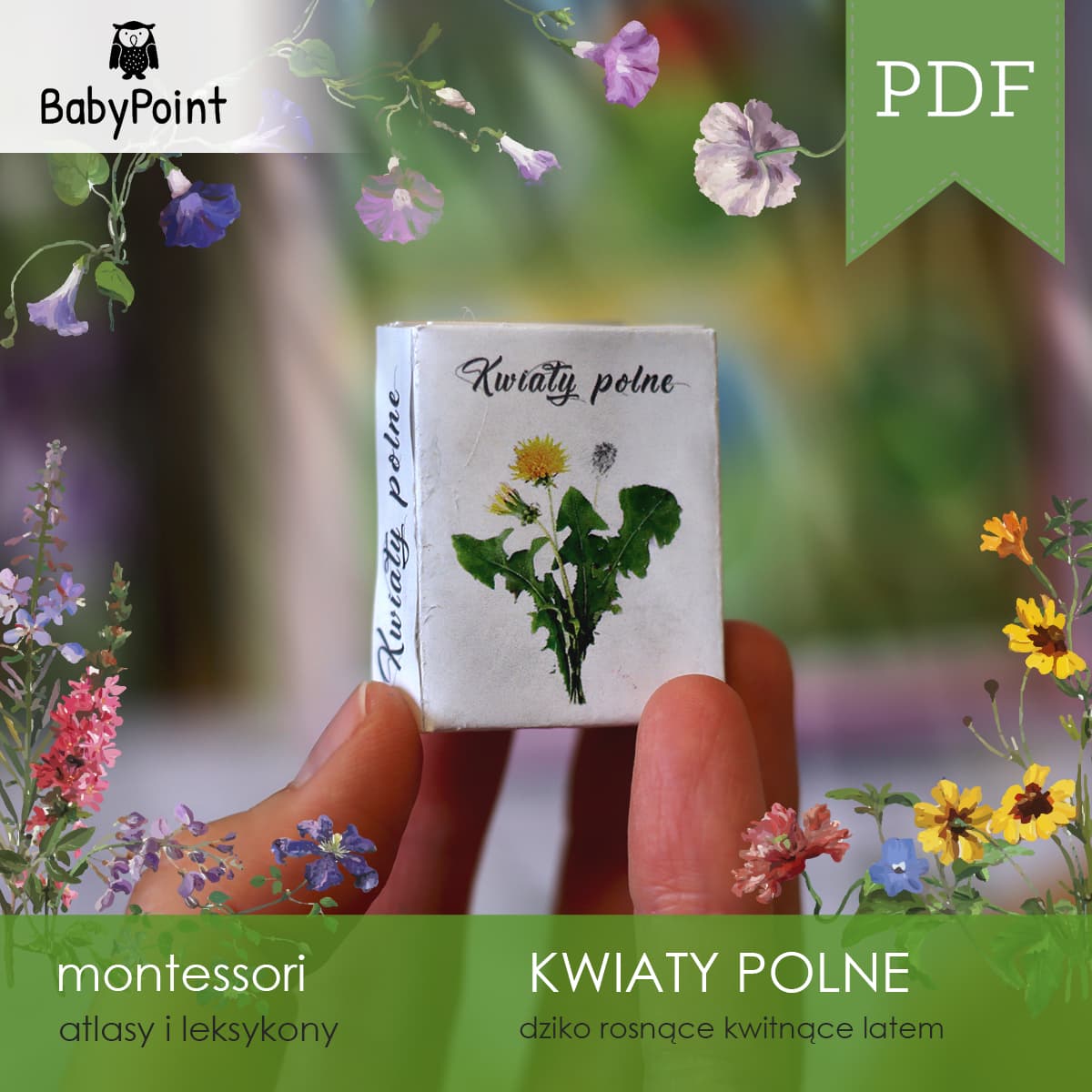 Kwiaty polne 4
