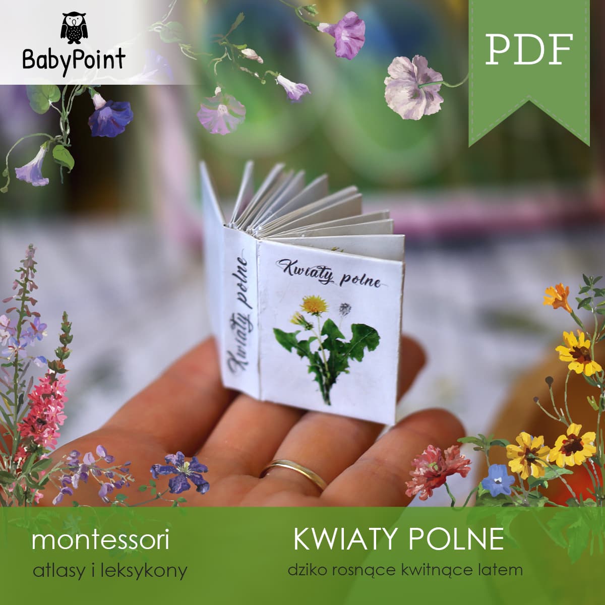 Kwiaty polne