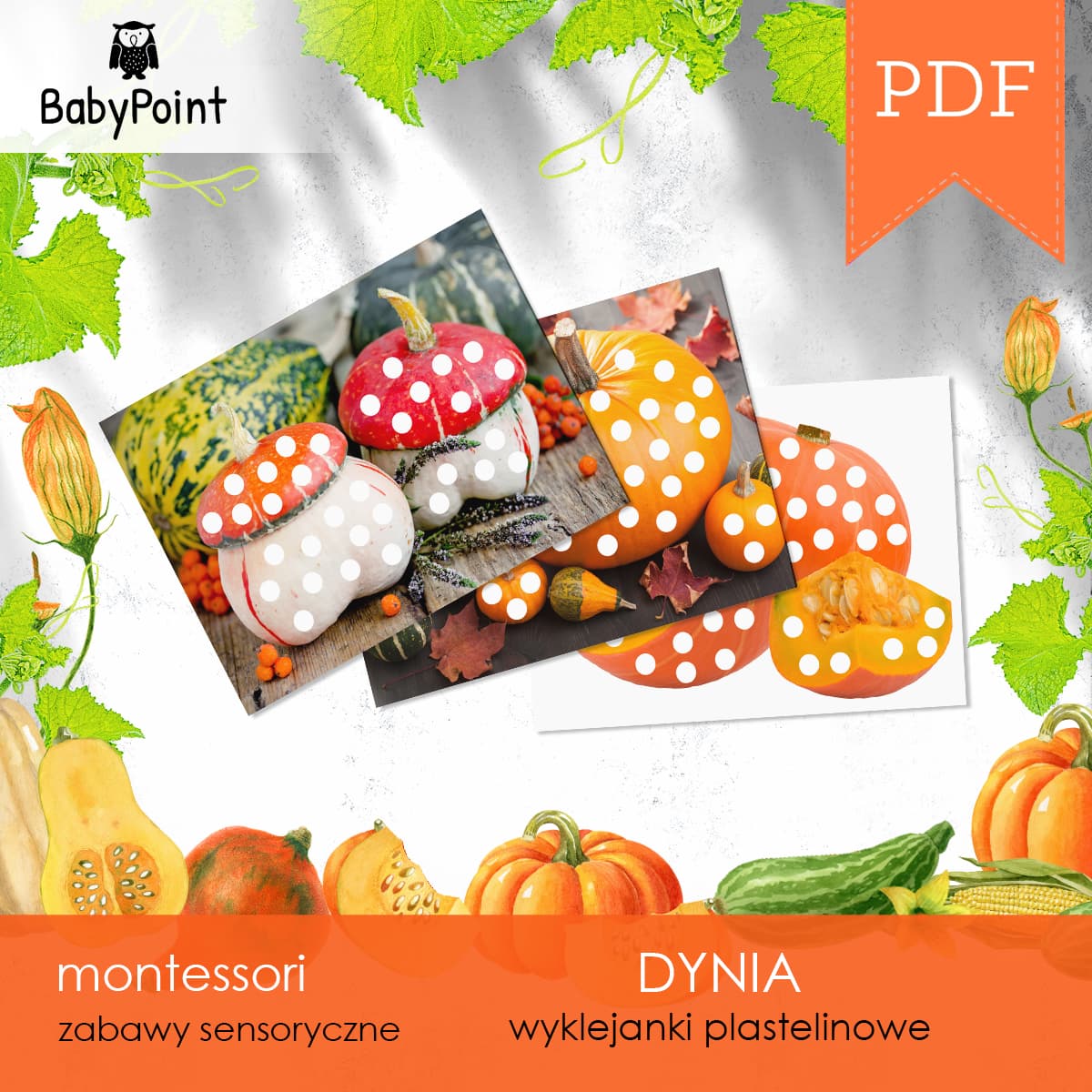 Dynia 2