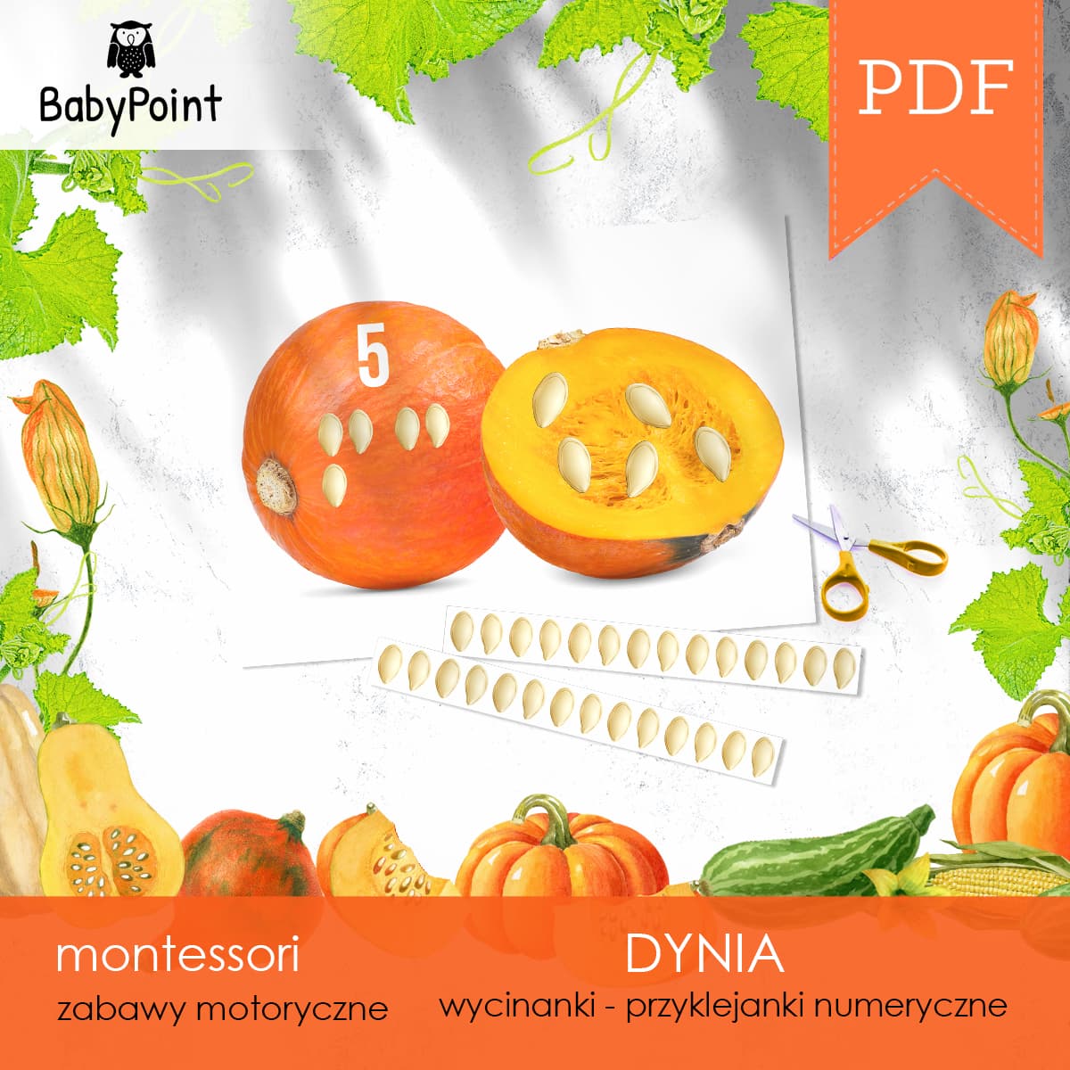 Dynia 3